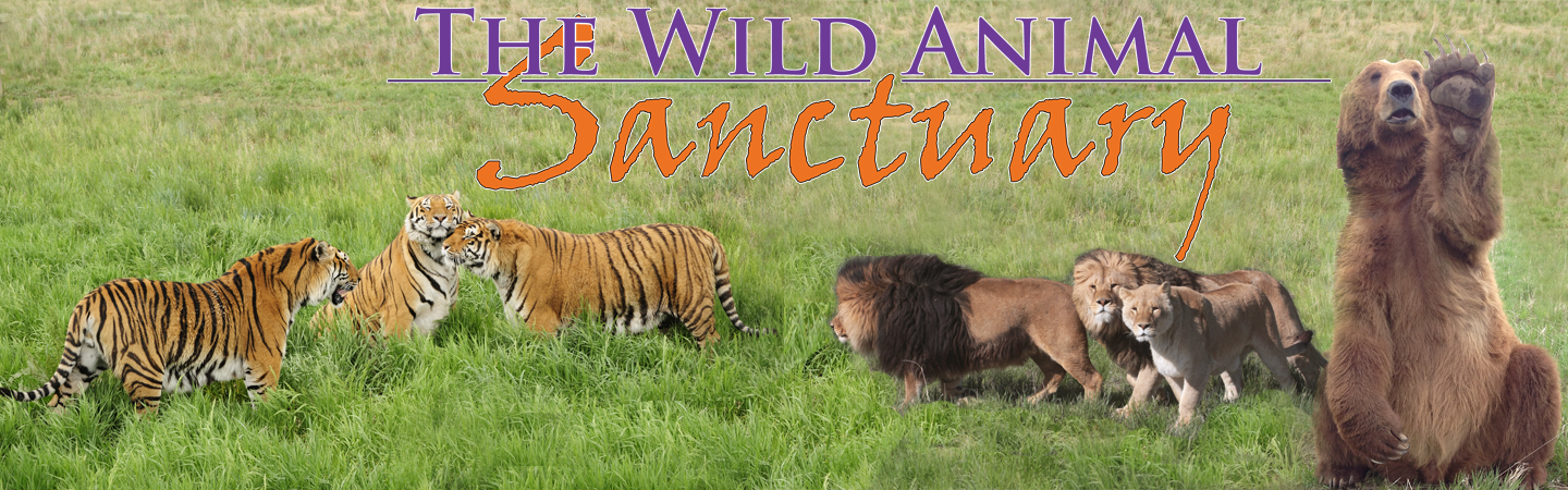 The Wild Animal Sanctuary